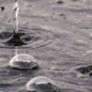 Meet your Posher, Todd